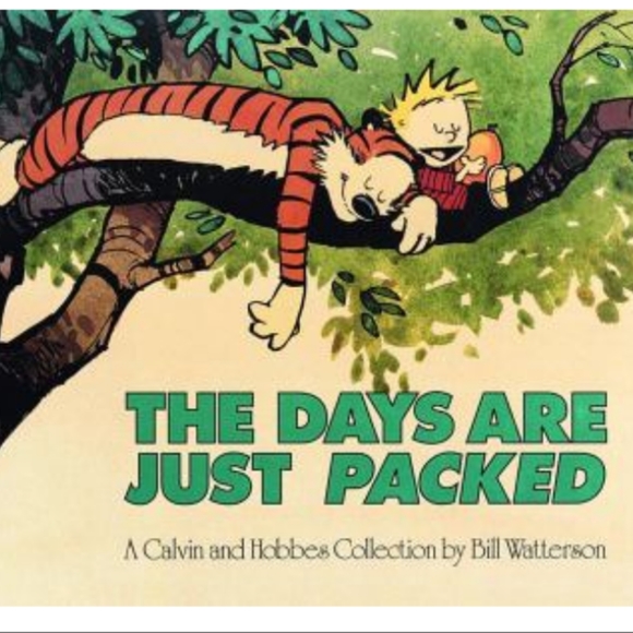 GUC VINTAGE CALVIN AND HOBBS PAPERBACK BOOKS - Picture 7 of 16